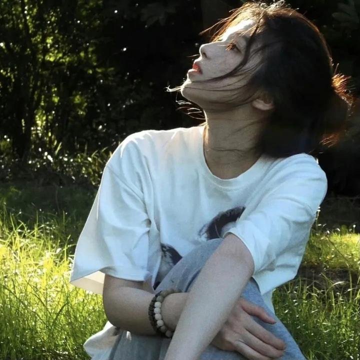 完美的独裁国家